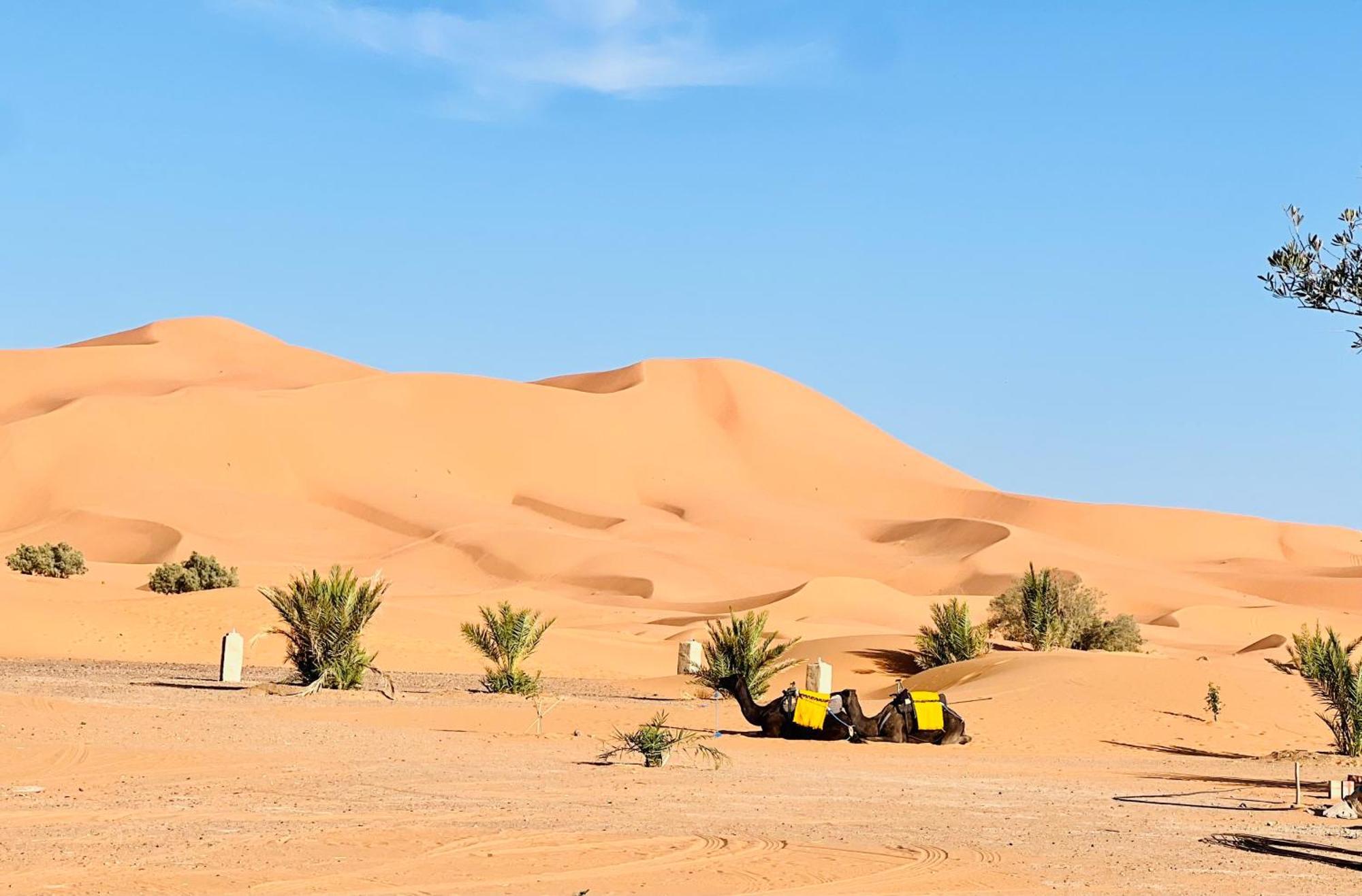 Hotel Camping Les Roses Des Dunes & Piscine 메르주가 외부 사진