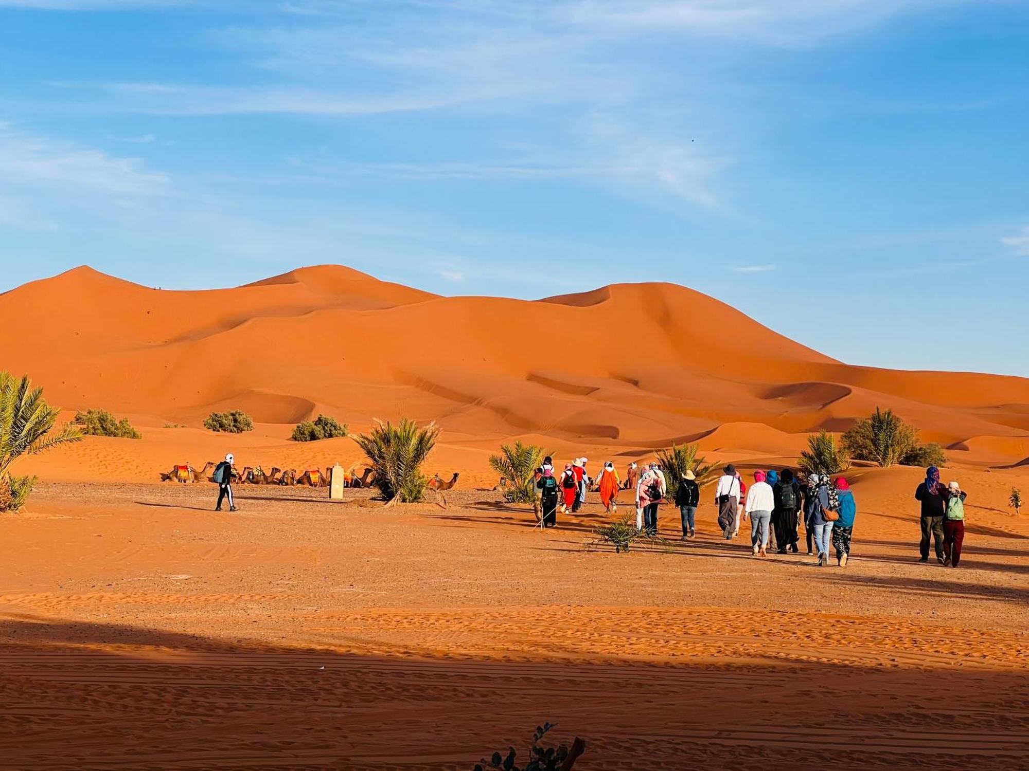 Hotel Camping Les Roses Des Dunes & Piscine 메르주가 외부 사진